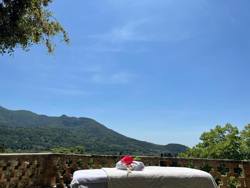 Les Horizons - Spa-Jacuzzi - Massage- Sauna - 4 Saisons - Piscine Chauffee Toute L'Annee - 800M Centre Ville Nyons Dış mekan fotoğraf